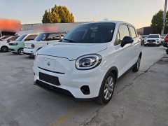Leapmotor Leapo T03 Haoyu Edition - photo 1