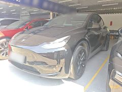 Tesla Model Y Rear-Wheel Drive - ფოტო 1