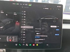 Tesla Model 3 Rear-Wheel Drive - фото 11