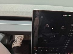 Tesla Model 3 Rear-Wheel Drive - фото 13