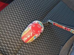 Leapmotor T03 400 Lite Enjoyment Edition LFP Battery - photo 8