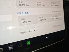 Tesla Model Y Long Range All-Wheel Drive - ფოტო 11