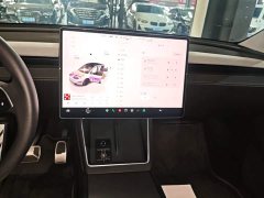 Tesla Model Y Long Range All-Wheel Drive - ფოტო 12