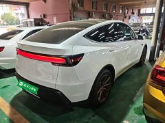 Tesla Model Y Long Range All-Wheel Drive - ფოტო 6
