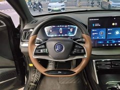 BYD Tang New Energy DM-i 112KM Premium Edition - photo 10