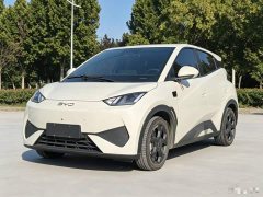 BYD Seagull Smart Driving Edition 305km Freedom Edition - ფოტო 1
