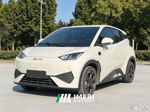 2025 BYD Seagull Smart Driving Edition 305km Freedom Edition