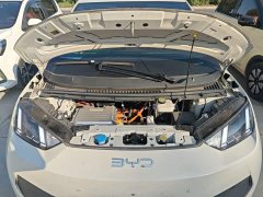 BYD Seagull Smart Driving Edition 305km Freedom Edition - ფოტო 19