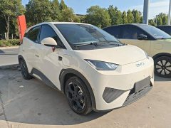 BYD Seagull Smart Driving Edition 305km Freedom Edition - ფოტო 3