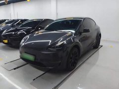 Tesla Model Y Long Range All-Wheel Drive - ფოტო 1