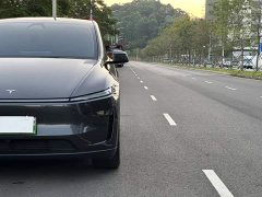 Tesla Model Y Rear-Wheel Drive Launch Edition - ფოტო 16