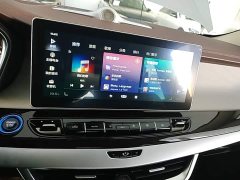 Geely Jiayue New Energy 1.5TD PHEV Premium Version - фото 12