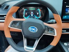 BYD e2 Luxury - ფოტო 10