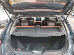 BYD e2 Luxury - ფოტო 18