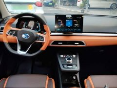BYD e2 Luxury - ფოტო 9