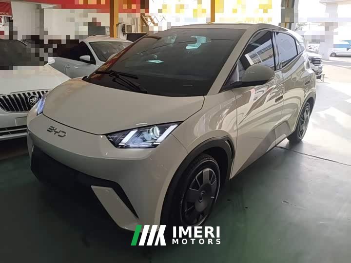 BYD Seagull Glory Edition 305km Vitality Version - ავტომობილი ჩინეთიდან