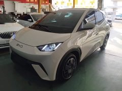 BYD Seagull Glory Edition 305km Vitality Version - ფოტო 1