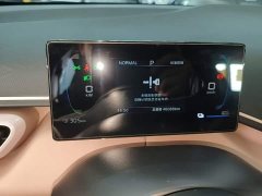 BYD Seagull Glory Edition 305km Vitality Version - ფოტო 11