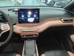 BYD Seagull Glory Edition 305km Vitality Version - ფოტო 12