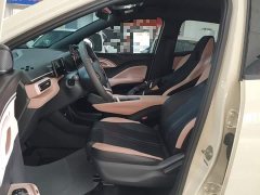 BYD Seagull Glory Edition 305km Vitality Version - ფოტო 14