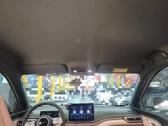 BYD Seagull Glory Edition 305km Vitality Version - ფოტო 17