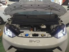 BYD Seagull Glory Edition 305km Vitality Version - ფოტო 19