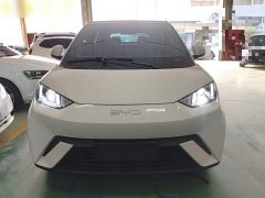 BYD Seagull Glory Edition 305km Vitality Version - ფოტო 2