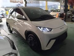 BYD Seagull Glory Edition 305km Vitality Version - ფოტო 3
