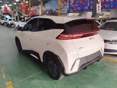 BYD Seagull Glory Edition 305km Vitality Version - ფოტო 4