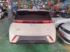 BYD Seagull Glory Edition 305km Vitality Version - ფოტო 5