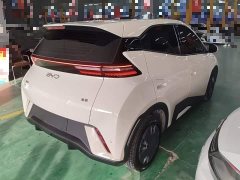 BYD Seagull Glory Edition 305km Vitality Version - ფოტო 6