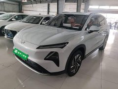 Wuling Xingguang S 510km Flagship - photo 1