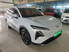 Wuling Xingguang S 510km Flagship - photo 3