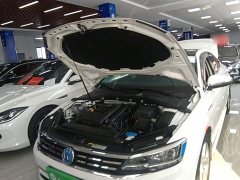 Volkswagen Lingdu 230TSI DSG Vision Edition National VI - photo 19