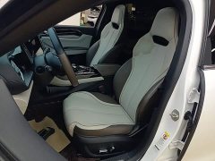 BYD Qin PLUS Champion Edition EV 420KM Excellence - ფოტო 14