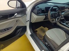 BYD Qin PLUS Champion Edition EV 420KM Excellence - ფოტო 15
