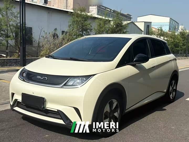 BYD Dolphin Glory Edition 420km Freedom Version - ავტომობილი ჩინეთიდან