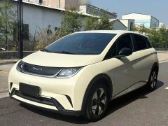 BYD Dolphin Glory Edition 420km Freedom Version - ფოტო 1