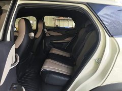 BYD Dolphin Glory Edition 420km Freedom Version - ფოტო 16