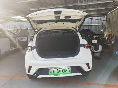 BYD Dolphin Glory Edition 420km Freedom Version - ფოტო 18