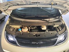 BYD Dolphin Glory Edition 420km Freedom Version - ფოტო 19