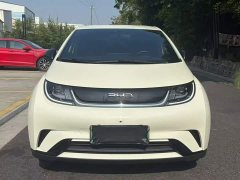 BYD Dolphin Glory Edition 420km Freedom Version - ფოტო 2