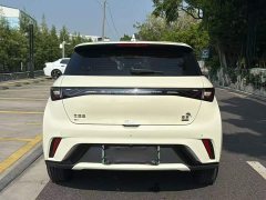 BYD Dolphin Glory Edition 420km Freedom Version - ფოტო 5