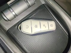 BYD Dolphin Glory Edition 420km Freedom Version - ფოტო 8
