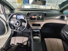 BYD Dolphin Glory Edition 420km Freedom Version - ფოტო 9