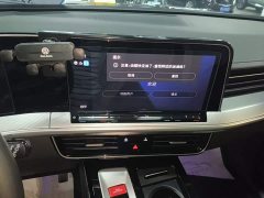Volkswagen Lanxun 330TSI Luxury Touring Edition - фото 12