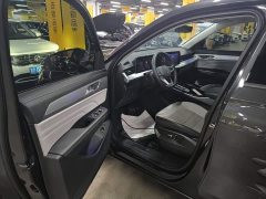 Volkswagen Lanxun 330TSI Luxury Touring Edition - фото 15