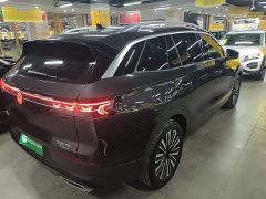 Volkswagen Lanxun 330TSI Luxury Touring Edition - фото 6