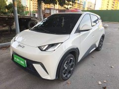 BYD Seagull Glory Edition 305km Freedom Version - ფოტო 1