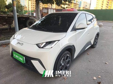 2024 BYD Seagull Glory Edition 305km Freedom Version - ავტომობილი ჩინეთიდან
